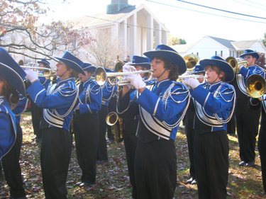 Download Veterans' Day Parade (375Wx281H)